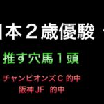 【競馬予想】 地方交流重賞 全日本2歳優駿 2022 予想