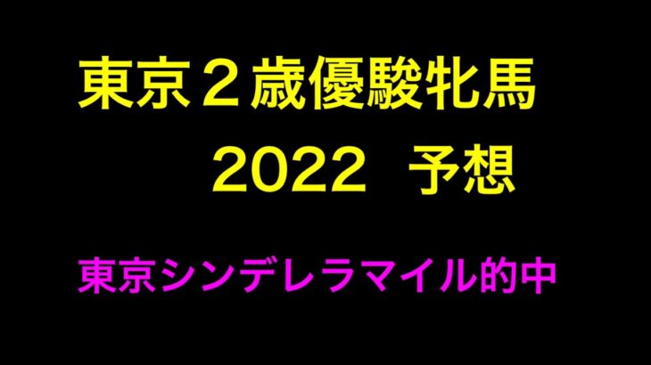 【競馬予想】 東京2歳優駿牝馬 2022 予想
