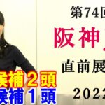 【競馬】阪神ジュベナイルフィリーズ 2022 直前展望(大井競馬 勝島王冠の予想はブログで！)