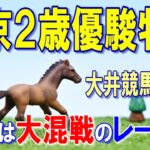 東京２歳優駿牝馬【大井競馬2022予想】今年は抜けた存在の馬が見当たらず大混戦⁉