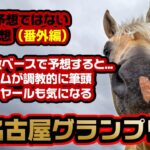 《名古屋グランプリ 2022》名古屋競馬場に参戦する中央馬を調教9割で判定して予想してみる
