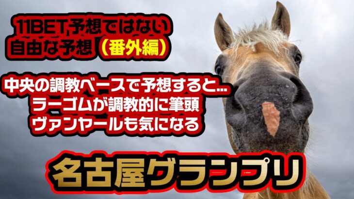 《名古屋グランプリ 2022》名古屋競馬場に参戦する中央馬を調教9割で判定して予想してみる