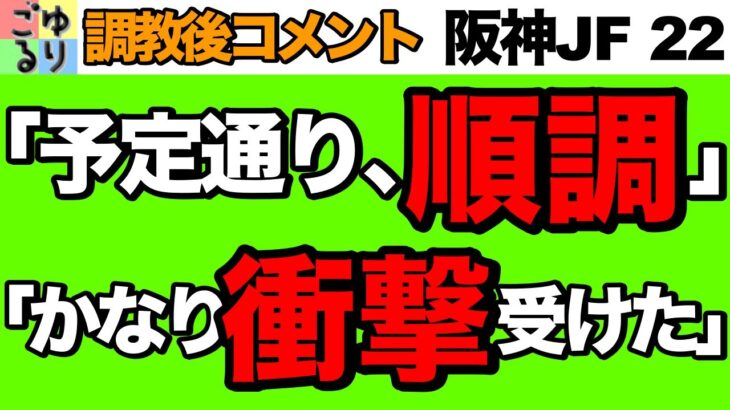 【順調度No.1】阪神JF 2022　調教後コメント比較【競馬予想】