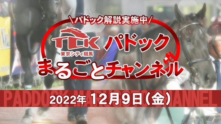 TCKパドックまるごとチャンネル（2022/12/9）