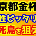 【競馬予想TV】 適性ピッタリの不死鳥を狙え!!【2023京都金杯】