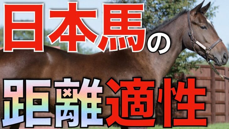 【顕著に】今年の香港は日本馬の距離適性がはっきり出る！短距離を強化できるか。