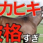 【成功へ】日本ダービー馬マカヒキが衝撃の種付け料！これは人気するのでは。