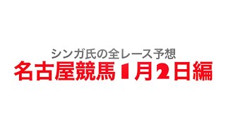 1月2日名古屋競馬【全レース予想】初夢特別2023