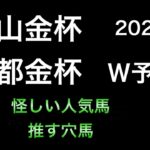 【競馬予想】　中山金杯　京都金杯 2023 予想