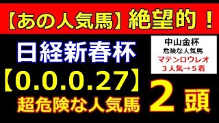日経新春杯 2023　【危険な人気馬 】＆【穴馬】好走パターン