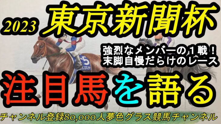 【注目馬を語る】2023東京新聞杯！強烈なメンバーが寒い冬競馬を熱くする！？ちょっと注目したい血統馬も！