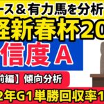 【日経新春杯2023】ガイヤフォース始動戦！前編・レース分析！【競馬予想】
