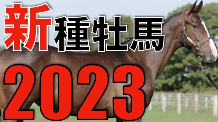 【超豪華】最速の2023年新種牡馬考察！世界的な大物だらけ。
