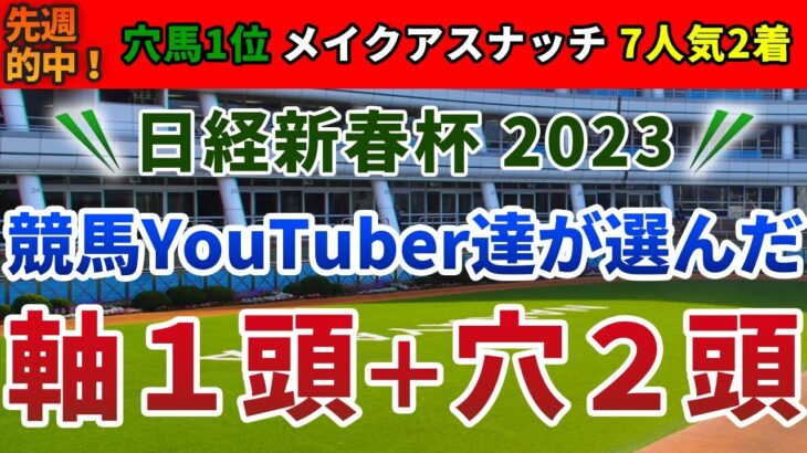 日経新春杯2023  競馬YouTuber達が選んだ【軸1頭＋穴2頭】