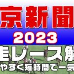 【東京新聞杯 2023】参考レース解説。東京新聞杯2023の登録予定馬のこれまでのレースぶりを初心者にも分かりやすい解説で振り返りました。