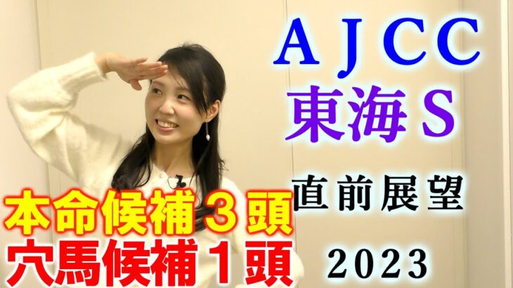 【競馬】AJCC 東海ステークス 2023 直前展望(出走馬全頭分析はブログで！)