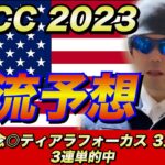 【AJCC 2023（アメリカジョッキークラブカップ）】俺流予想【競馬予想】