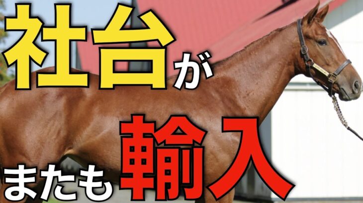 【手堅い】社台SSにまたも米国種牡馬！あの系統の信頼高まる。