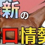 【変動あり】最新の種牡馬人気はどうなった？高額馬たちが満口ならず。