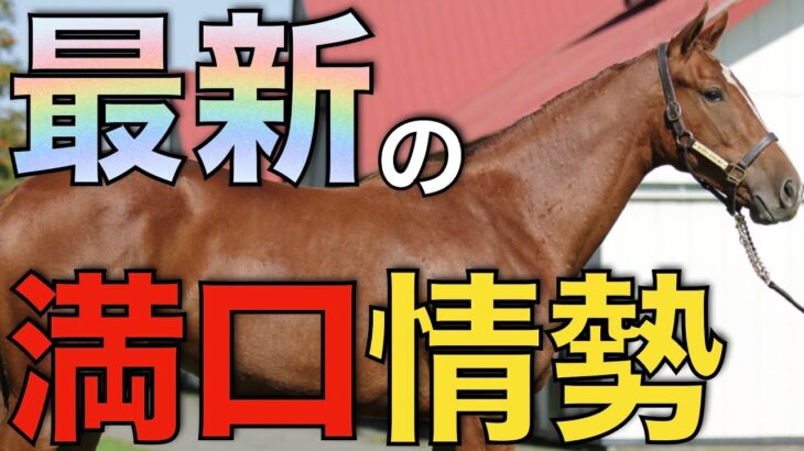 【変動あり】最新の種牡馬人気はどうなった？高額馬たちが満口ならず。