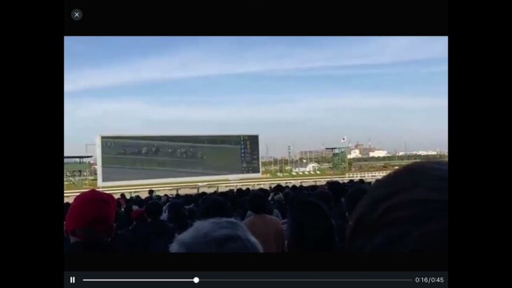 【現地映像】2022 京都記念(G2) 阪神競馬場 ドウデュース