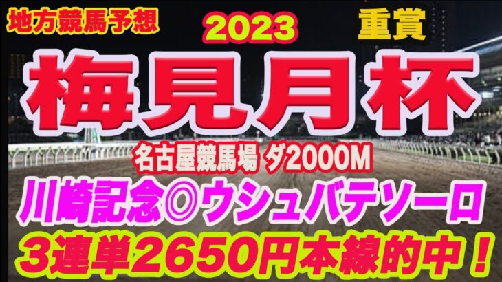 【 梅見月杯2023 予想 】地方競馬予想！名古屋競馬重賞も頑張ります！勝つのはこの馬だ！