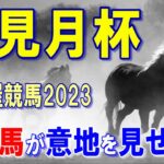 梅見月杯【名古屋競馬2023】ナイターで行われる全国地方交流重賞‼