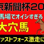 東京新聞杯2023だんぜんオイシイ大穴馬で勝負！