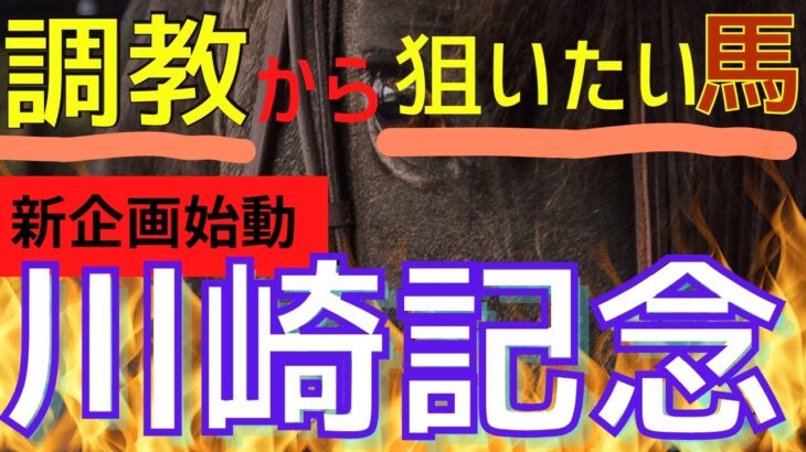 【競馬予想】川崎記念 2023－調教からおすすめする馬はこちら！【買い目公開】