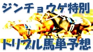 【2023年2月10日船橋競馬トリプル馬単予想】矢野騎手にやられた2月9日、10日も矢野騎手に注意！