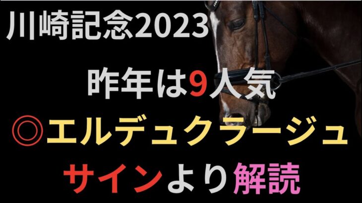 川崎記念2023　競馬予想　サイン解読のまとめ。昨年は9人気エルデュクラージュ推奨的中！！