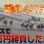 【競馬】2レースだけで95万円勝負した結果がえぐすぎた！！！