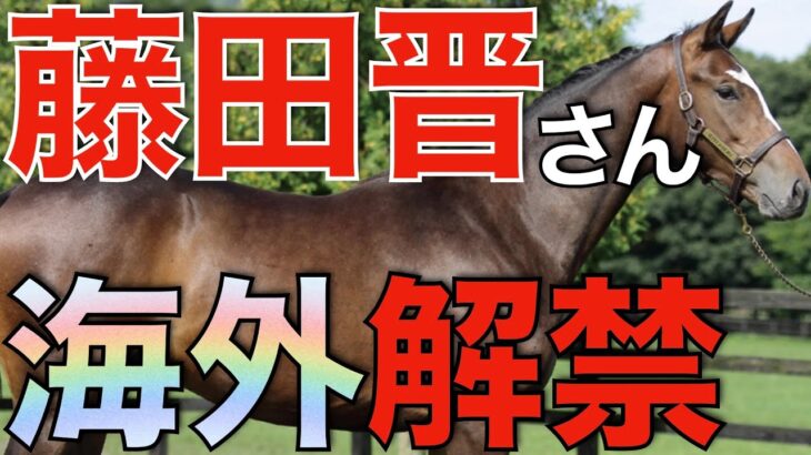 【初陣】藤田晋さん所有馬がついに海外挑戦へ！あの怪物たちの馬名も決まる。