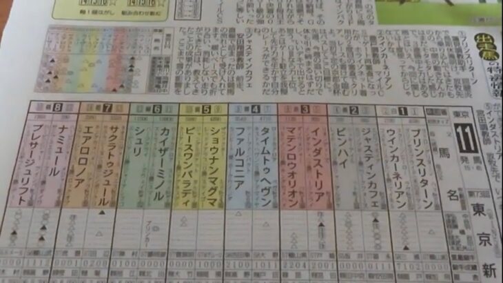 東京新聞杯　競馬展望です。