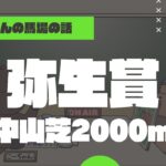 【2023弥生賞】中山芝2000ｍの特徴と馬場傾向（トラックバイアス）