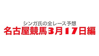 3月17日名古屋競馬【全レース予想】チューリップ特別2023