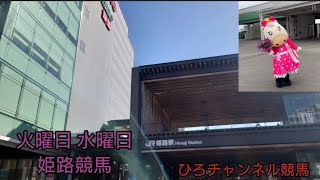 ひろチャンネル 46 「姫路競馬」2日間