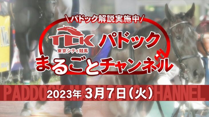 TCKパドックまるごとチャンネル（2023/3/7）