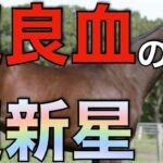 【怪物かも】欧州の超良血種牡馬が急上昇中！日本にも産駒が輸入されそう。