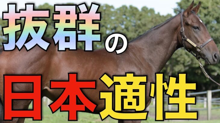 【大当たりか】日本の高速馬場にしっかりと対応！あの輸入種牡馬が実は凄かった。