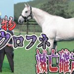 【悲報】日本史上最強馬クロフネが滅亡確定！？