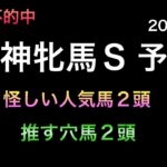 【競馬予想】 阪神牝馬ステークス  2023  予想