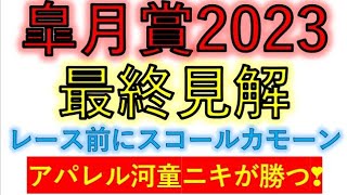 皐月賞2023　最終見解