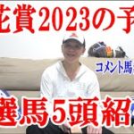 【競馬予想】桜花賞2023の予想!!【わさお】