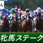 2023年 福島牝馬ステークス（GⅢ） | 第20回 | JRA公式