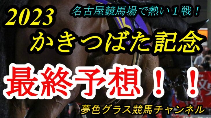 【最終予想】2023かきつばた記念！名古屋競馬場の戦い方が合いそうな馬は？ドライスタウトの外枠もポイントに