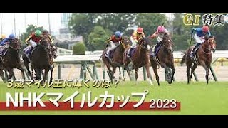競馬 2023年5月7日 ＮＨＫマイルＣ・ＧⅠ　東京５週連続ＧⅠ初戦３歳スピード王へ